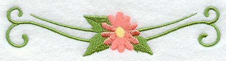 Heirloom Daisy Border
