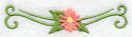 Heirloom Daisy Border