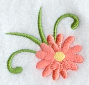 Heirloom Daisy Corner