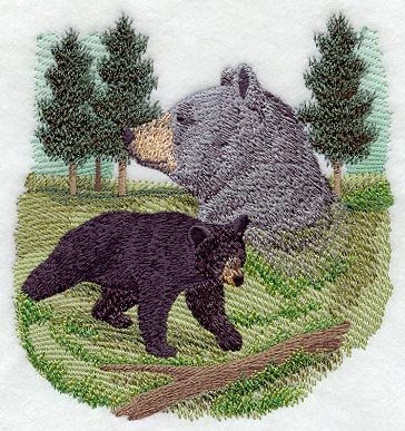 Spirit of the Bear