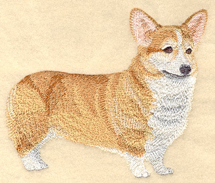 Pembroke Welsh Corgi