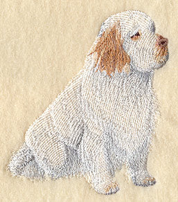 Clumber Spaniel