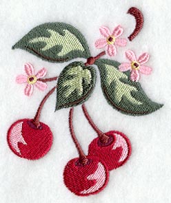 Sweet Cherries with Blossoms