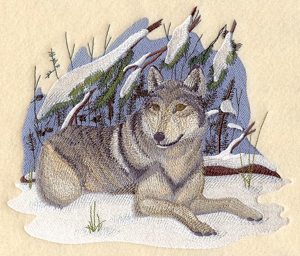 Wolf - Winter