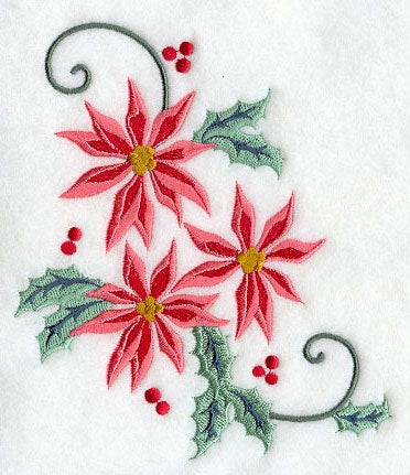 Christmas Wish Poinsettia