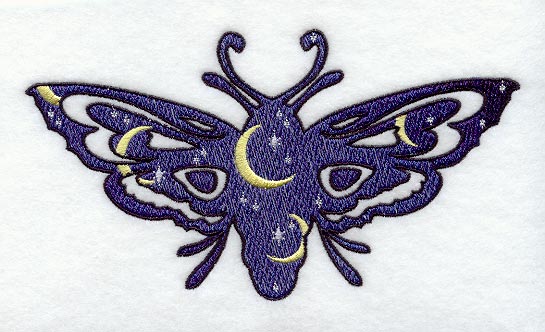 Crescent Moon Moth