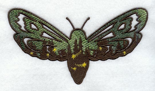 Northern Lights Moth