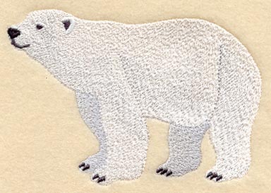 Polar Bear