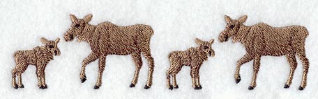 Moose and Calves