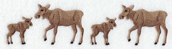 Moose and Calves
