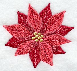 Poinsettia