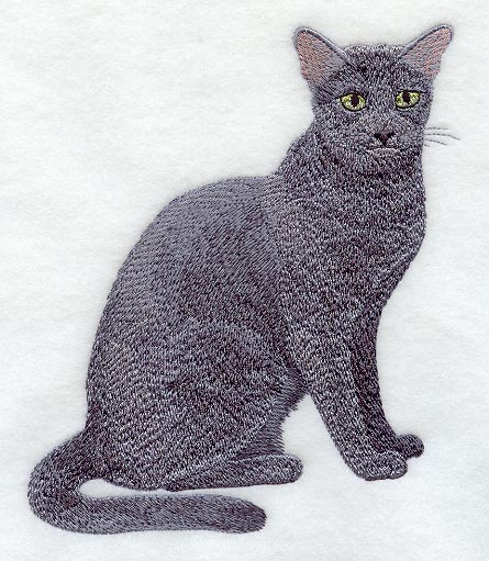 Russian Blue