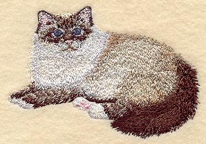 Birman