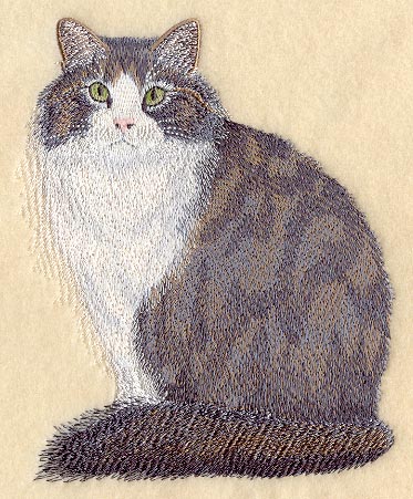 Norwegian Forest Cat