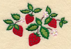 Sweet Strawberries and Blossoms