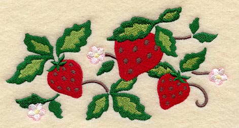 Sweet Strawberries and Blossoms Border