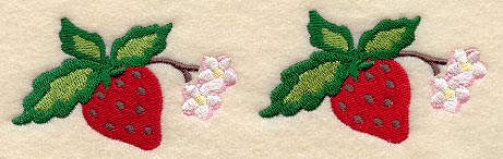 Sweet Strawberries and Blossoms Border