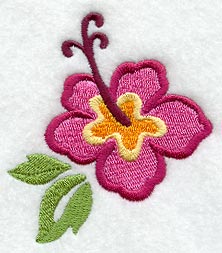 Tropical Hibiscus Flower