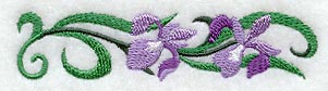 Iris Blooms Border