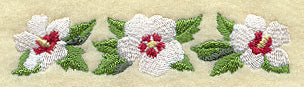 Rose of Sharon Blooms Border