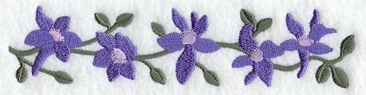 Larkspur Blooms Border