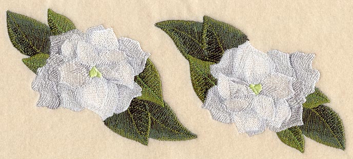 Gardenia Border