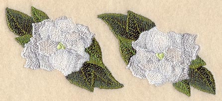 Gardenia Border