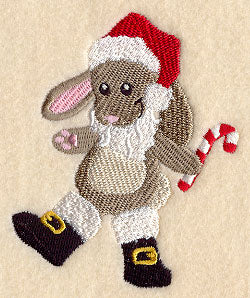 Rachael Rabbit Plays Santa