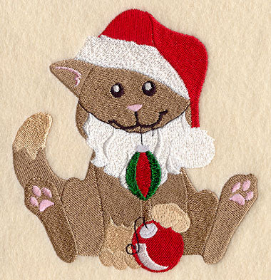 Caroline Cat Plays Santa