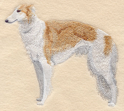 Borzoi (Russian Wolfhound)