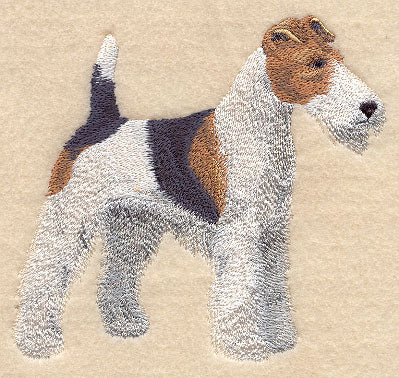 Wirehaired Fox Terrier