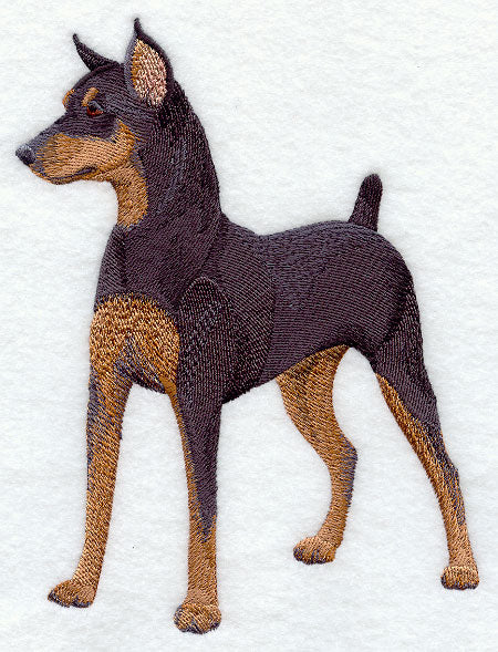 Miniature Pinscher