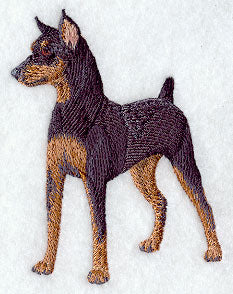 Miniature Pinscher