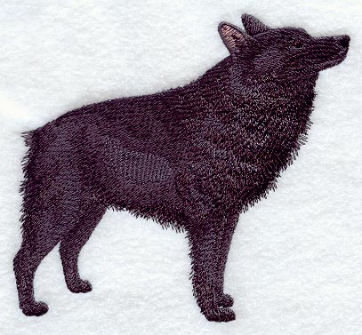 Schipperke