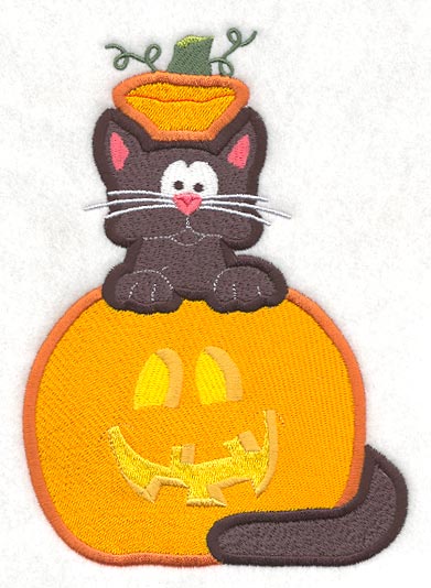 Cat in Pumpkin Front