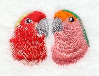 Peach Faced Lovebird Faces