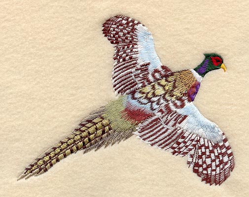 Pheasant