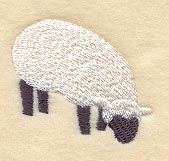 Sheep