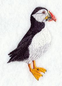 Puffin