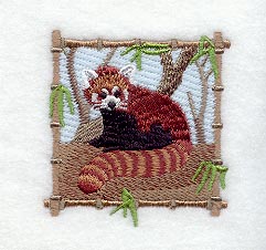Red Panda Square II