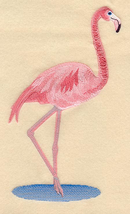 Flamingo