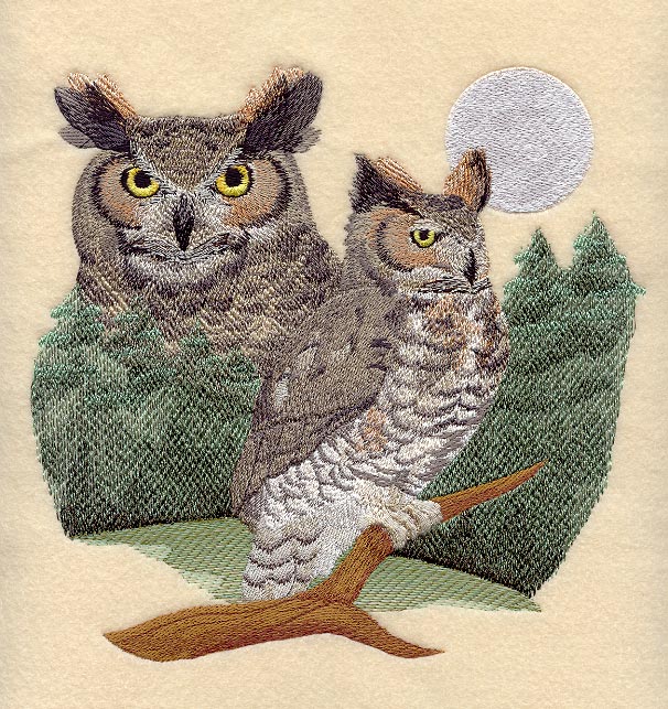 Great Horned Owl Scene