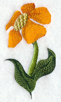 Spring Flower