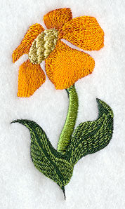 Spring Flower