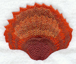 Seashell Swirl