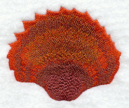 Seashell Swirl