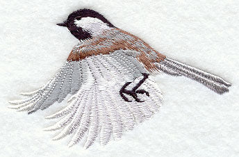 Flying Chickadee