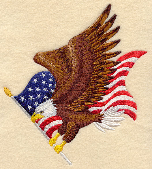 Flying Eagle and US Flag