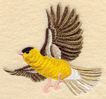 Flying Goldfinch
