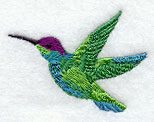 Summer Hummer 4